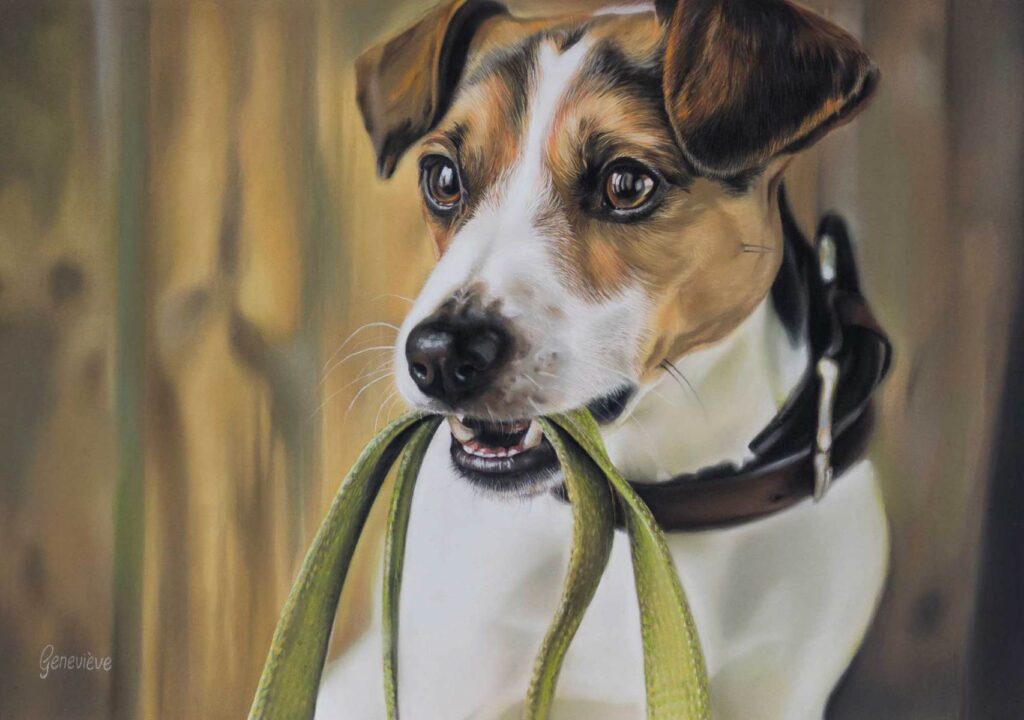 hond-halsband